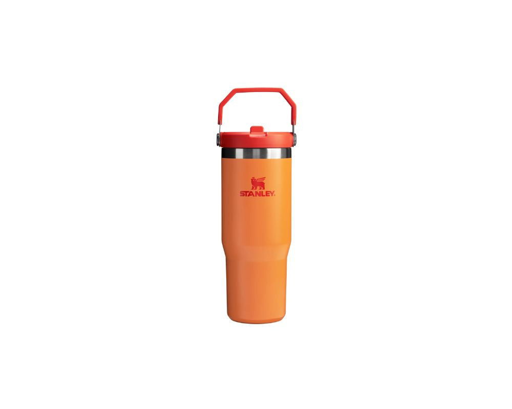 Stanley IceFlow  Straw Tumbler 30 oz